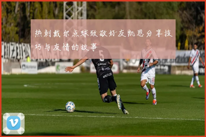 热刺戴尔点球致敬好友凯恩分享技巧与友情的故事
