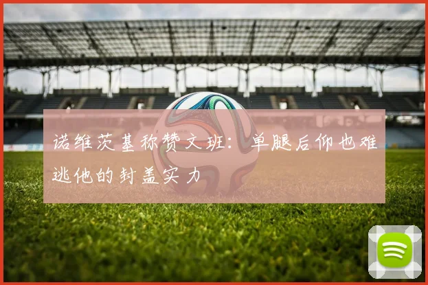 诺维茨基称赞文班：单腿后仰也难逃他的封盖实力