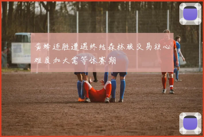 黄蜂连胜遭遇终结森林狼交易核心难度加大需等休赛期