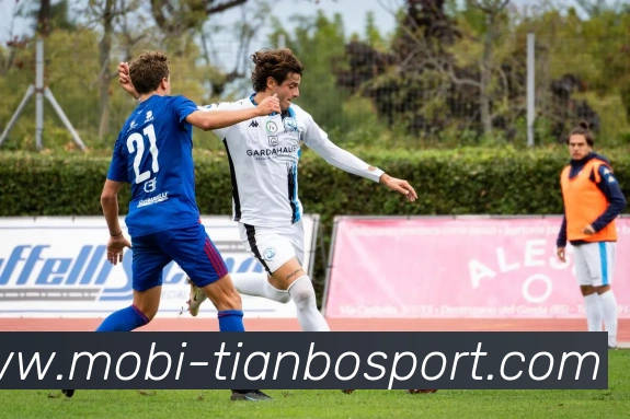 天博体育平台生态图